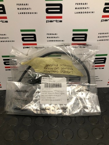 Lamborghini gallardo bonnet - lamborghini,