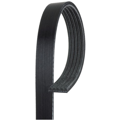 Rib multi drive belt for - drive,